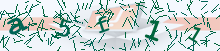 Image with code for validation